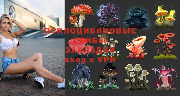 стафф Абинск