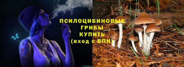 стафф Абинск