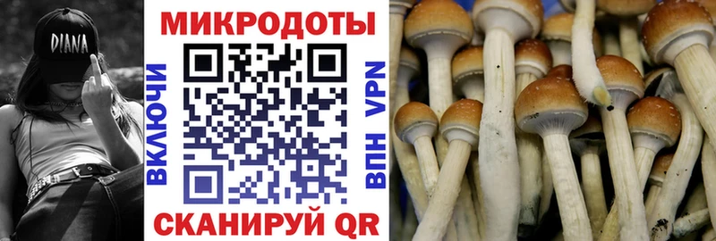 Галлюциногенные грибы Psilocybine cubensis  купить наркотик  Куртамыш 